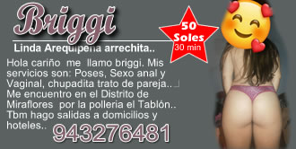 cybernenas briggi